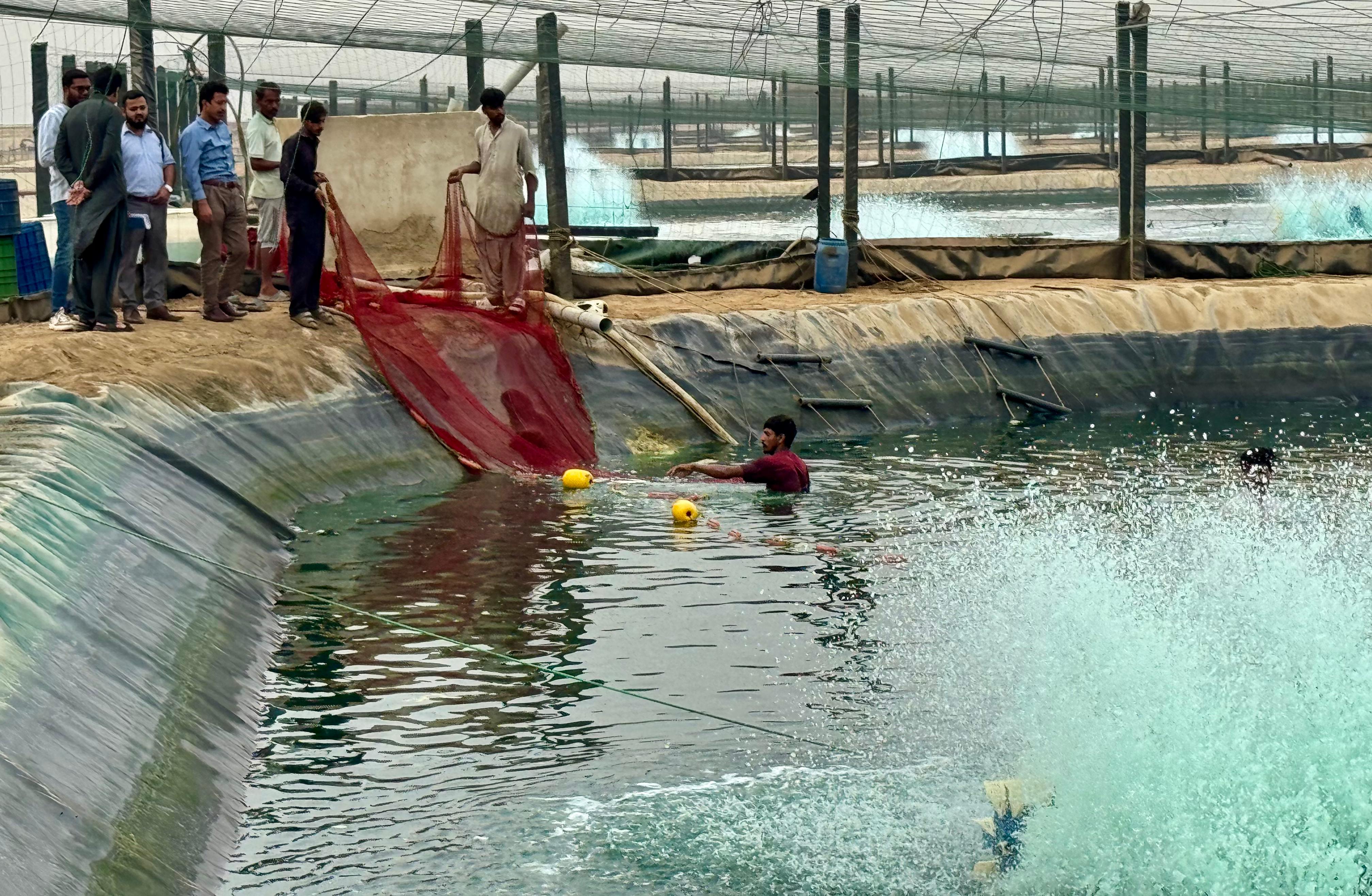 Dhabeji Aqua Foods operations