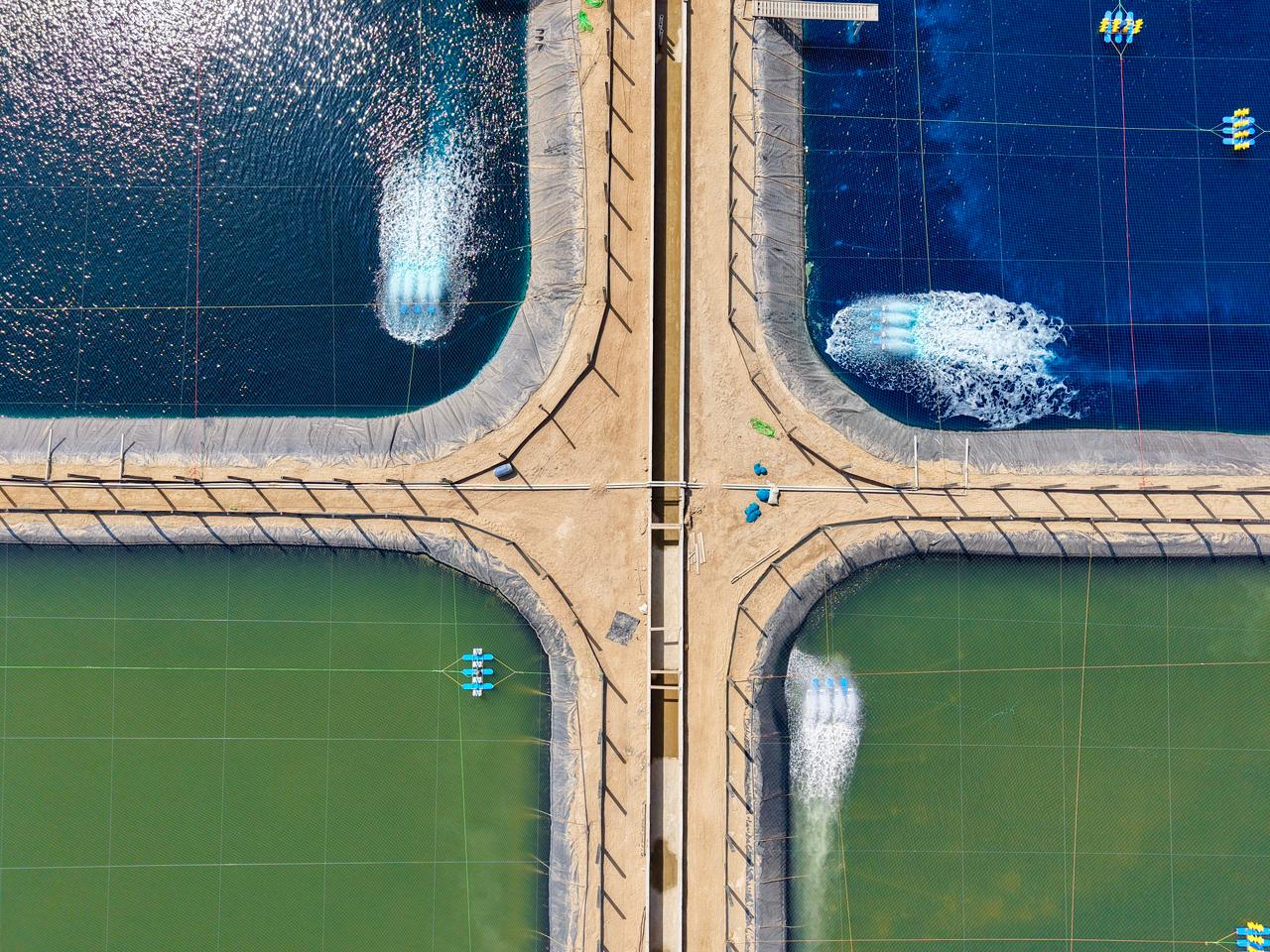 Freezing facility
