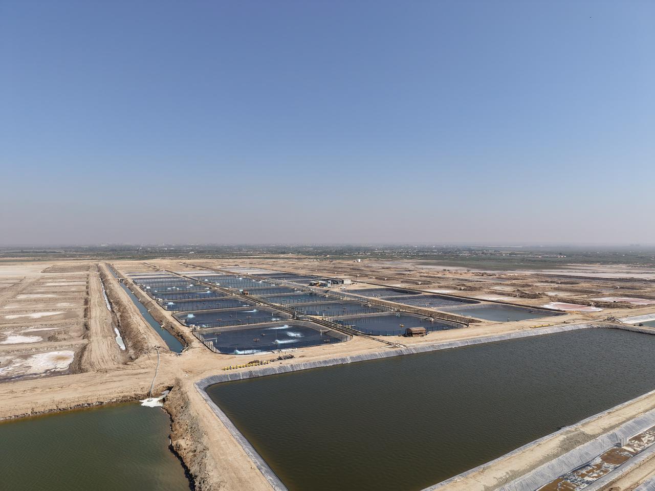Hatchery